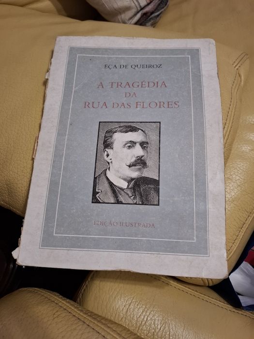 Livro a tragedia da rua das flores edição ilustrada