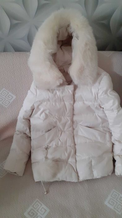 Kurtka śmietankowa z lisem