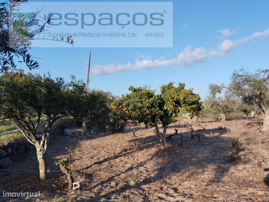 Quintinha com construções e poço