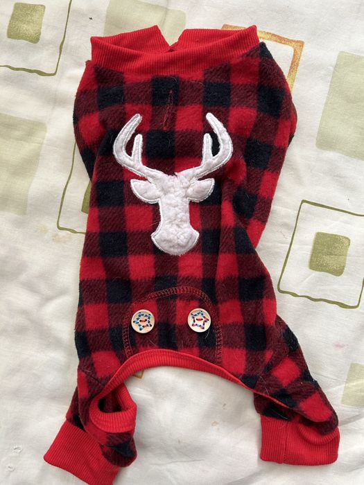 Одежда для собачки