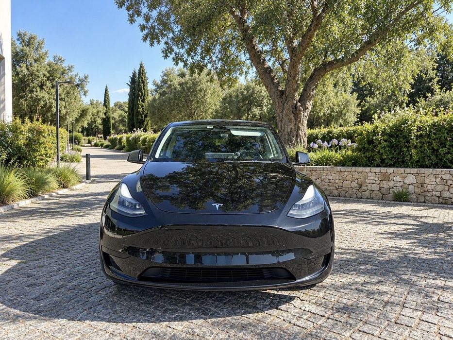 Tesla Model Y Tração Traseira foto 2