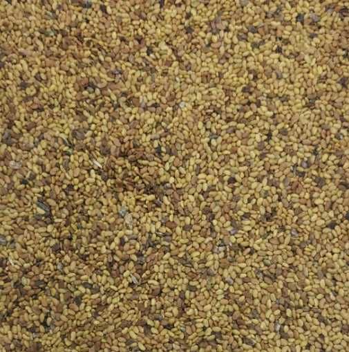 Lucerna Worki Z Lucerną Sprzedam Lucernę Ziarno Lucerny Nasiona Dowóz