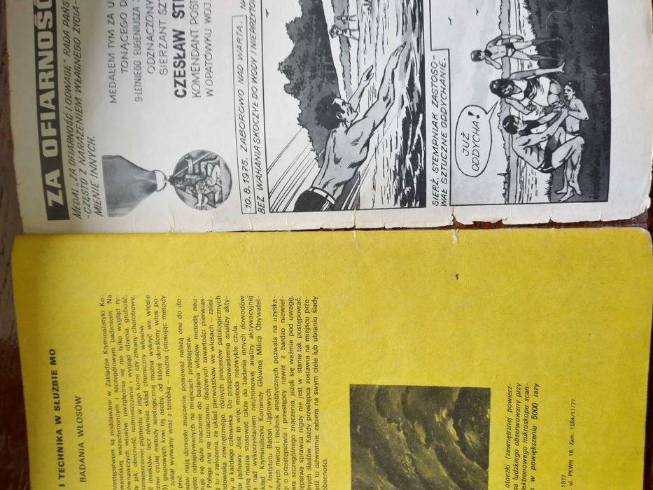 Kapitan Żbik Zerwana sieć 1977