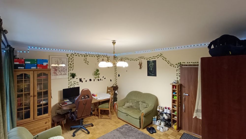 Large Room with big balcony for rent (available from aug 16)