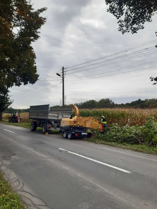 Wycinka drzew,usługi rębakiem,czyszczenie terenów,koszenie,transport