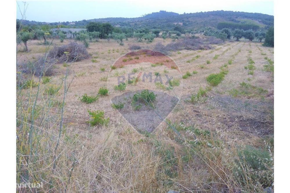 Terreno  para venda — Chãos, Santarém