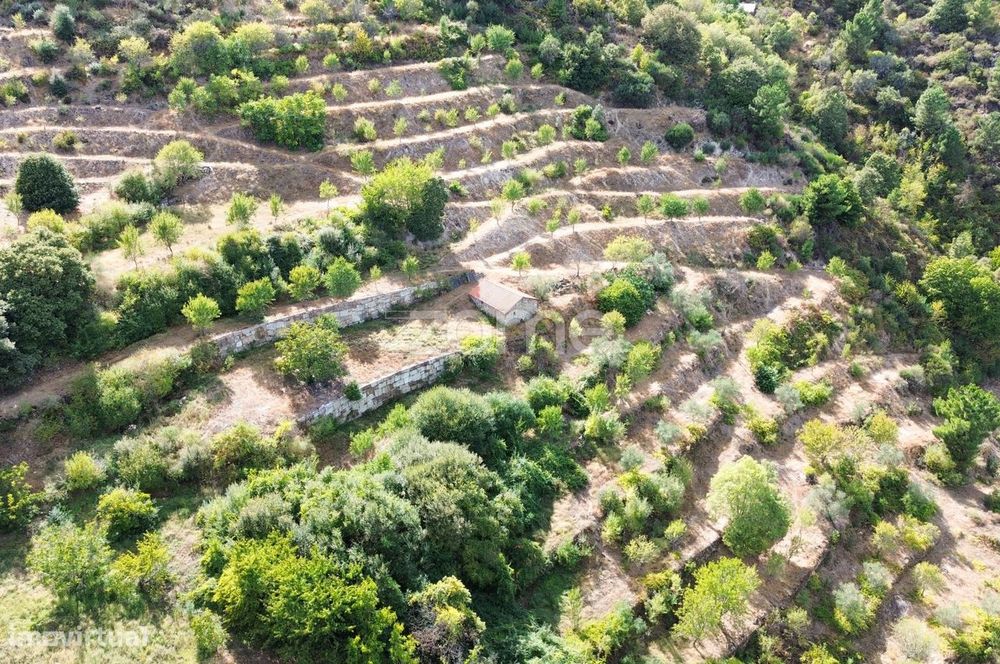 Terreno com 6 hectares