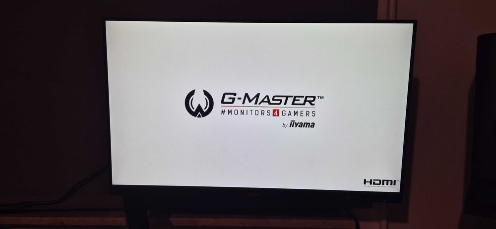 Monitor IIYAMA G-Master G2445HSU