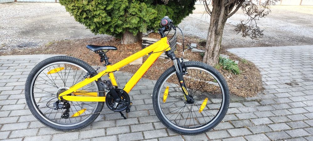 Rower Scott Voltage 24 Jr.