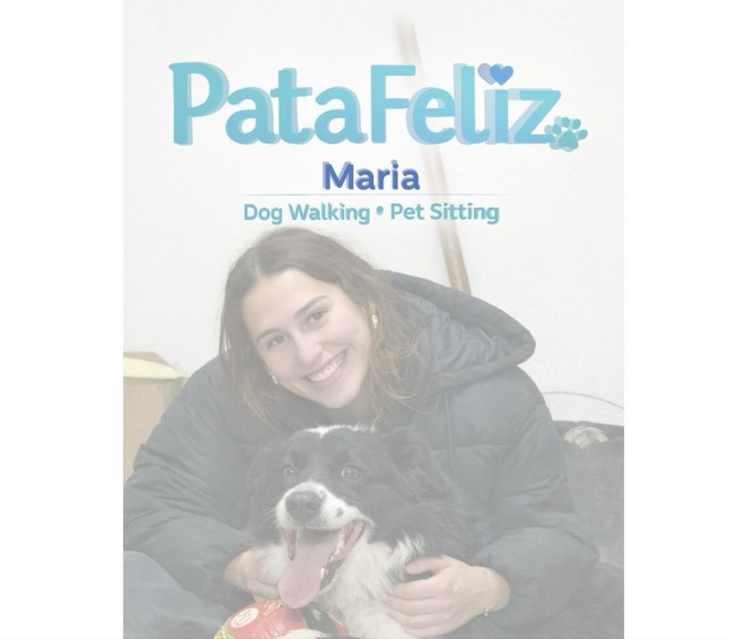Dog walking e Pet Sitting