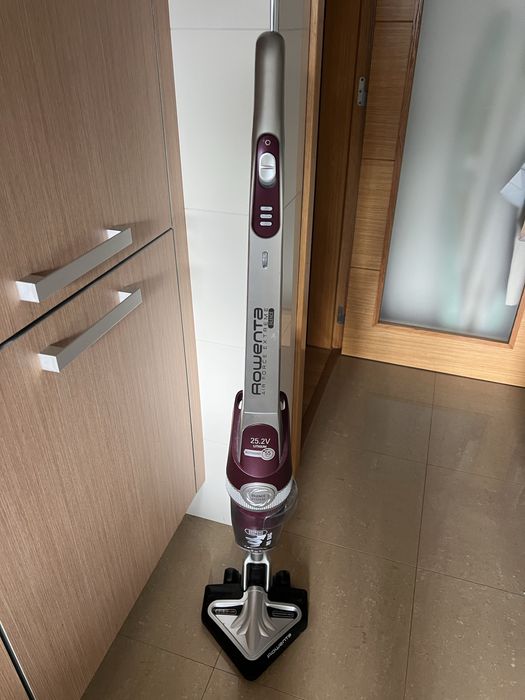 Aspirador vertical Rowenta