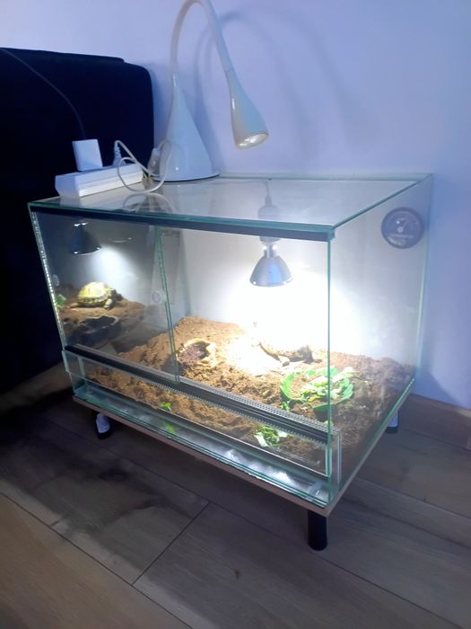 Terrarium 60x40x40