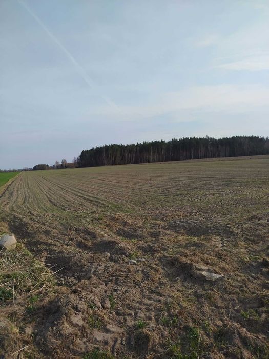 Działki budowlane Malczyn gmina Nasielsk 19/1-19/8 - Widok 4