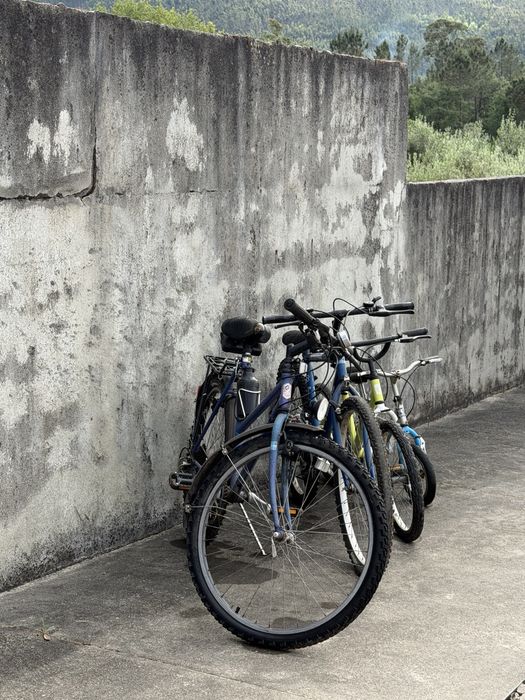 Bicicletas adulto e criança