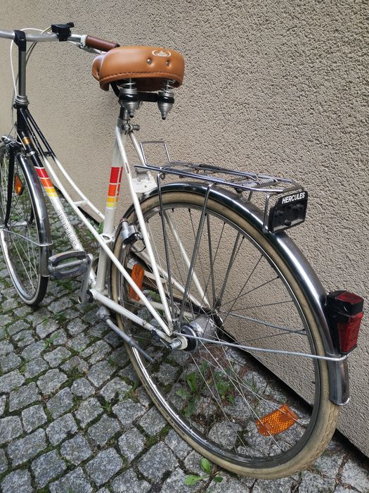 Damka holenderka tanio!