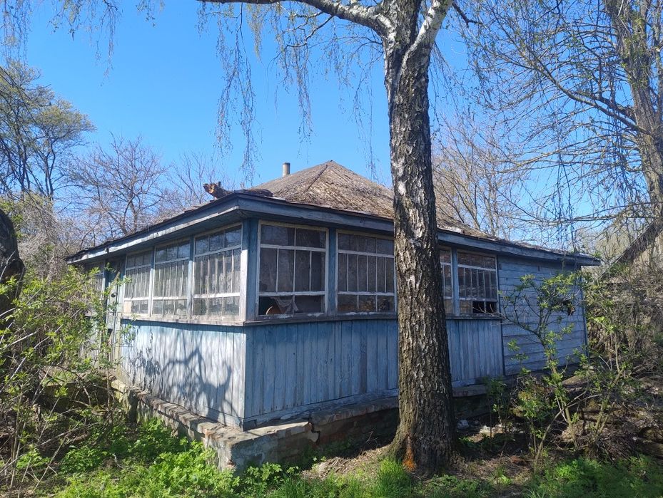 Продам будинок  в селі Чапліївка