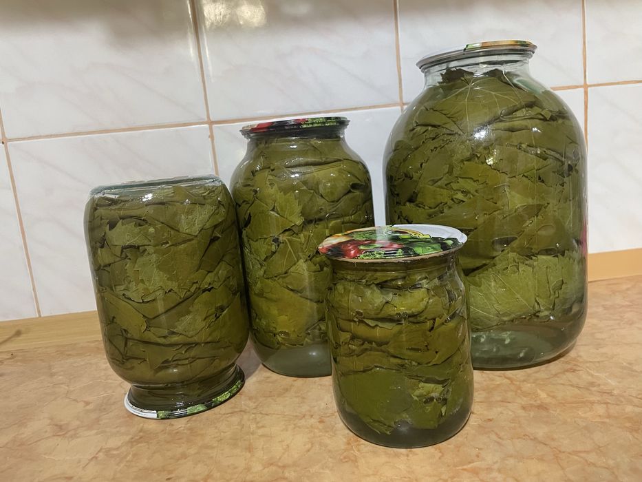 Продам листья винограда