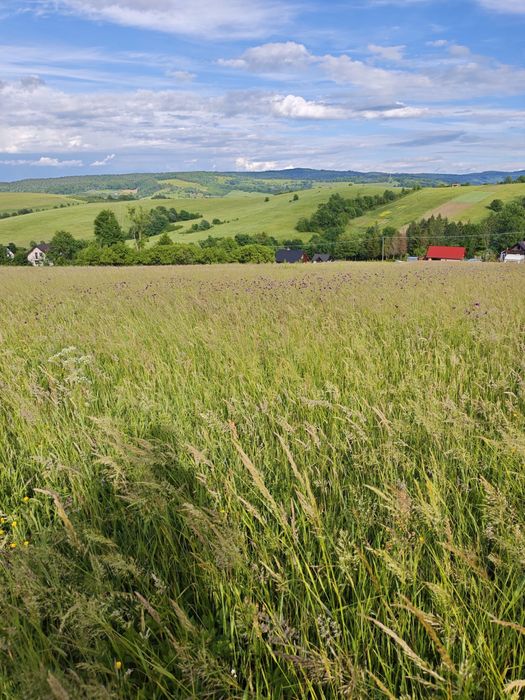 Działka w Bieszczadach z WZ Mchawa Baligród - Widok 2