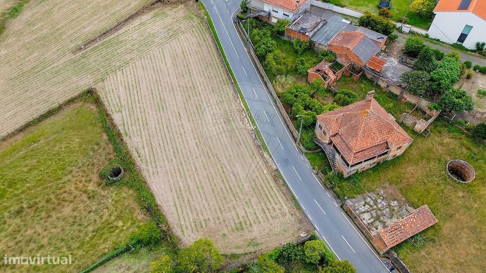 Plot for Sale