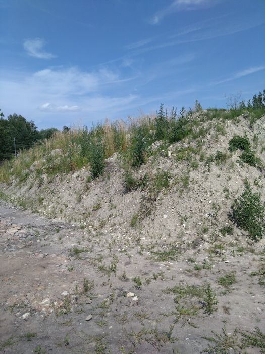 Ziemia z wykopu stawu