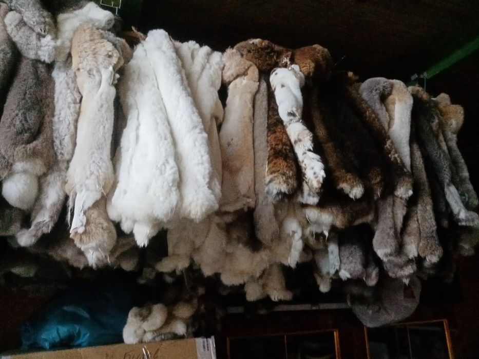 Мех кролика рекс. Шкурки