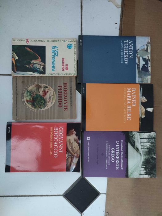 Lote 27 livros Literatura Clássicos Autores Estrangeiros