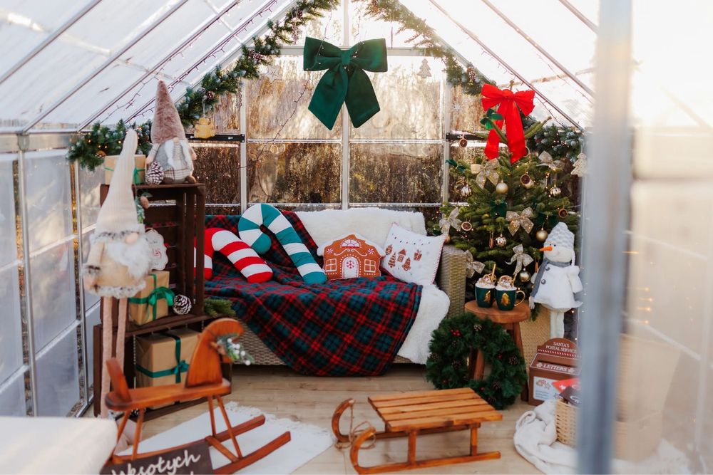 Sesja świąteczna w szklarni Koszalin Białogard Kołobrzeg Mielno