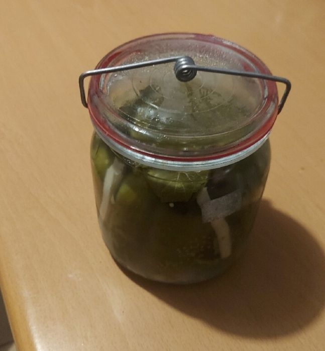 Sprężynki 50szt. OCYNK WEK OGÓRKI PAPRYKA WECK