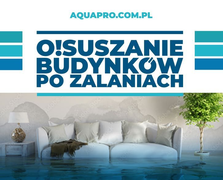 Osuszanie Budynków po zalaniach Lokalizacja wycieków