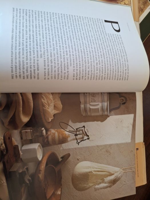 Livro sobre a história do queijo