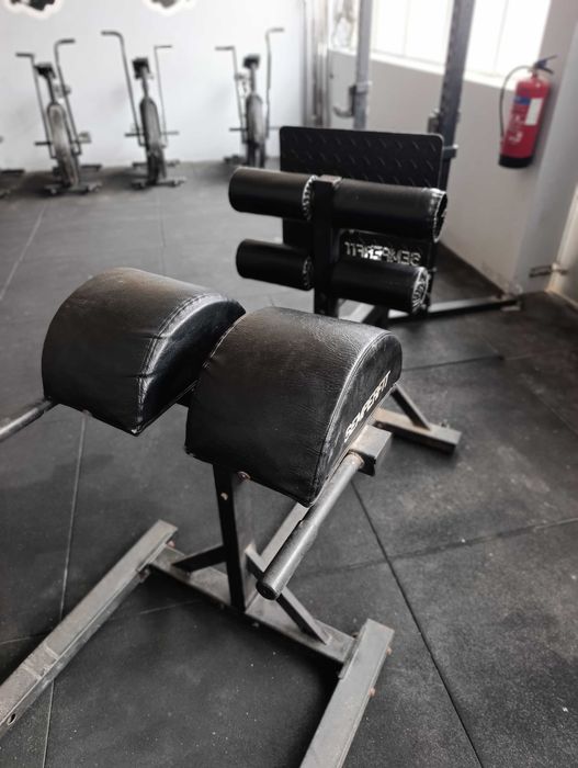 GHD Exercise Machine441901393505822722