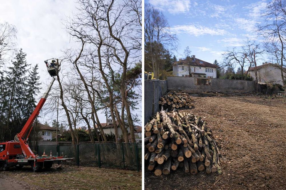 Karczowanie działek Błonie | Wycinka drzew Błonie | Działki pod budowę