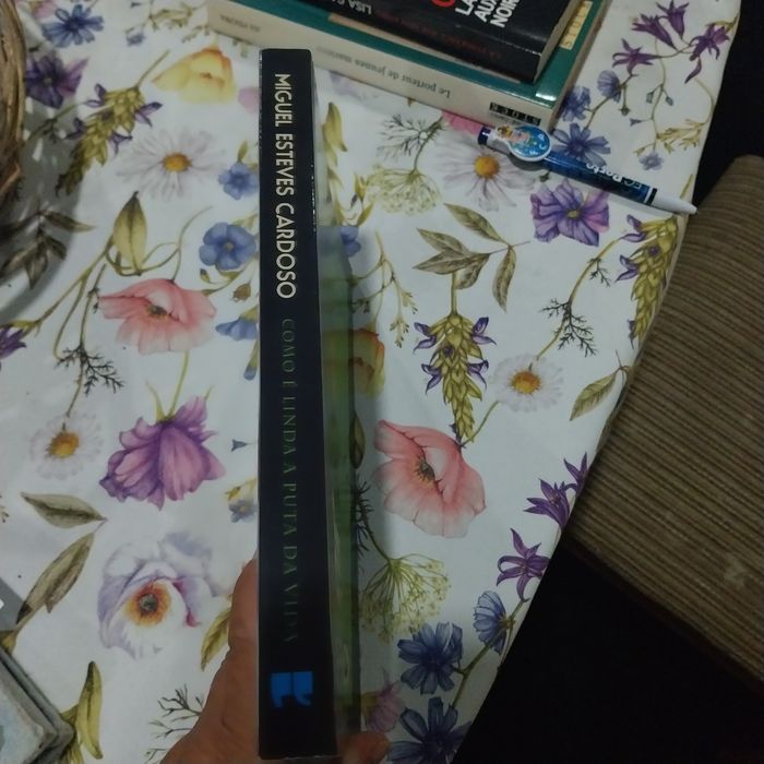 Como é linda a puta da vida. Portes incluídos