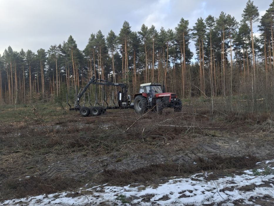 Wycinka drzew, usuwanie sadów