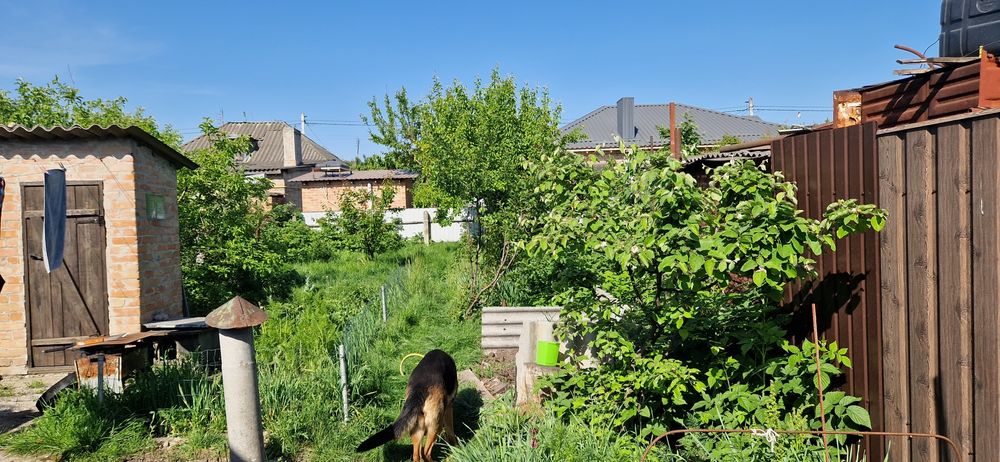 Будинок 2 поверхи, Нова Балашівка