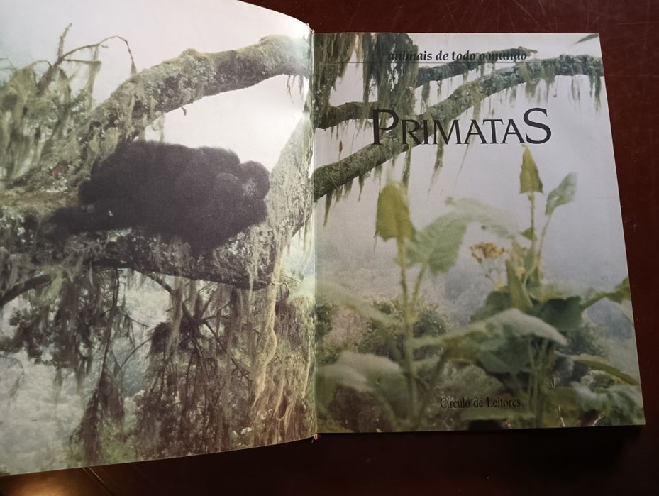 Primatas;	Coleção Animais de todo o Mundo do Circulo de Leitores.*