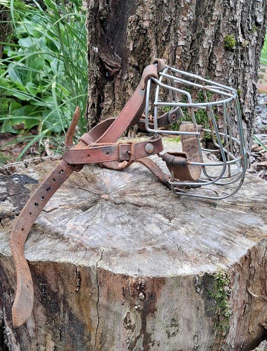 Kaganiec metalowy dla dużych ras psów