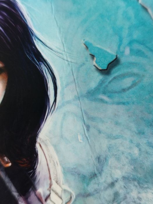 Szamanka od umarlaków M. Raduchowska