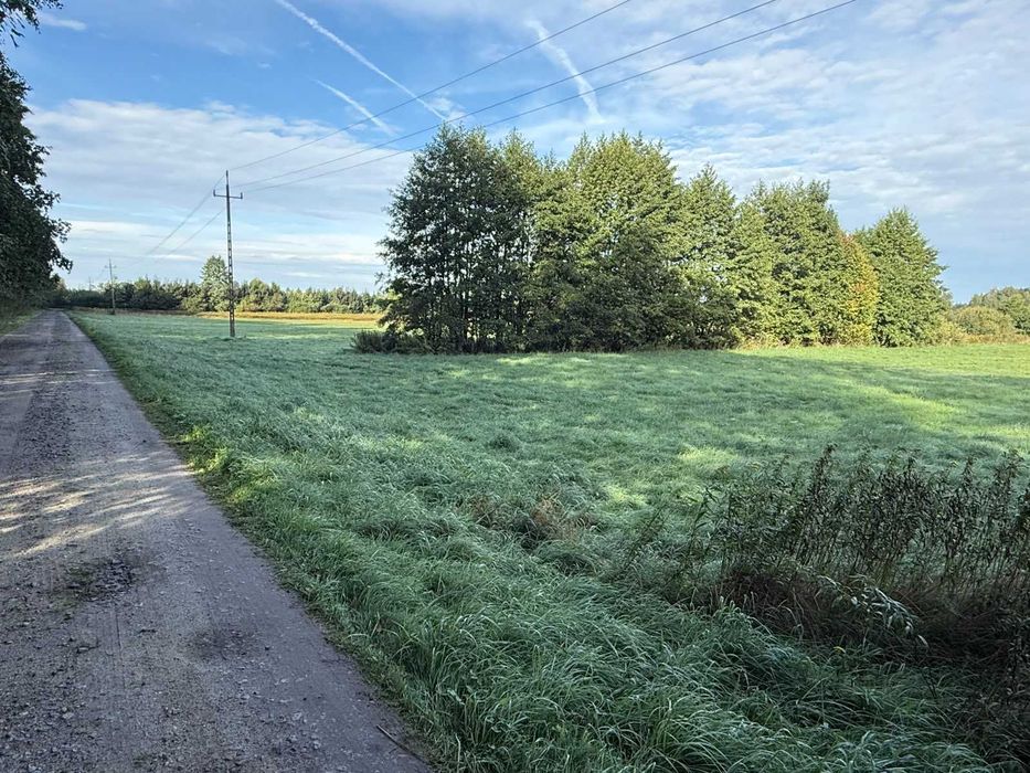 Działka inwestycyjna 7938 m² | MPZP UT | las, rzeka | Borucice