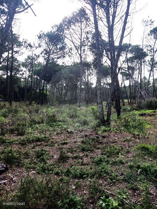 Terreno  para venda