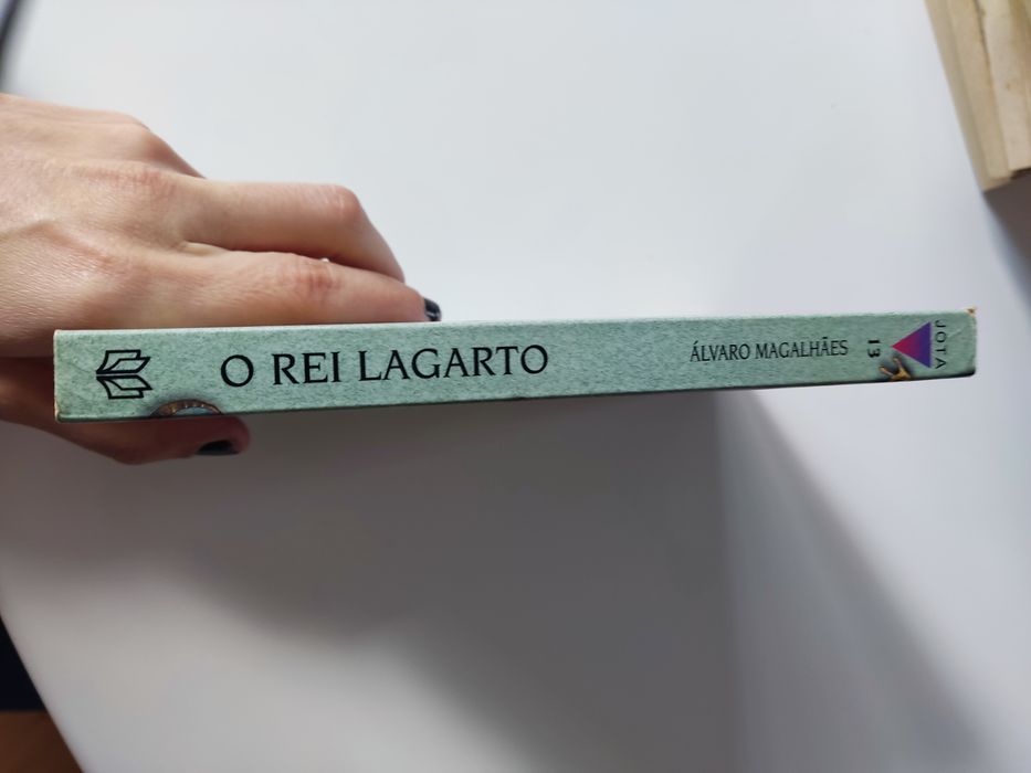 Livro O rei lagarto de triângulo jota