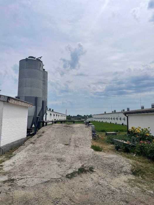 Агрокомплекс, птахофабрика