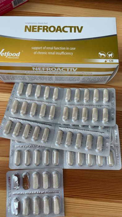suplementy dla psa/kota  Nefroactiv