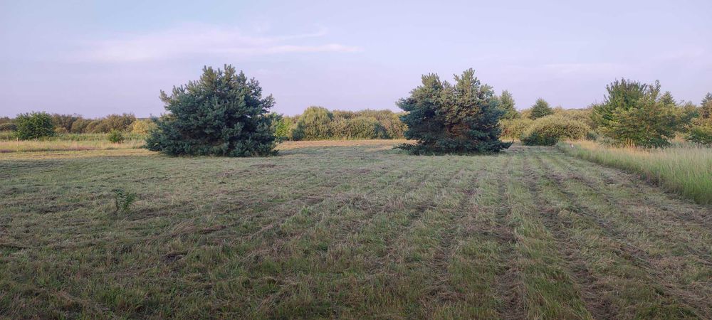 działka Jęczydół z linią brzegową jeziora Miedwie pow. 0.9720 ha - Więcej