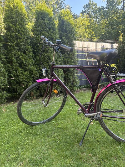 Rower Pegasus uniwersalny 28 C