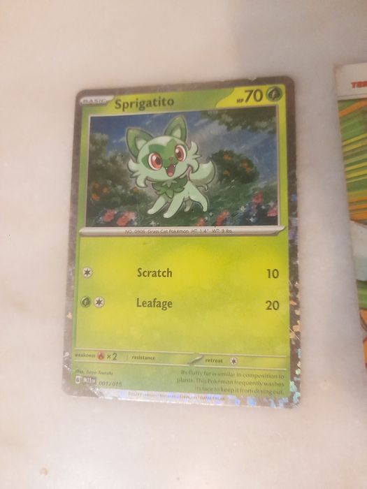 Conjunto de 4 Cartas Coleccionáveis Pokémon