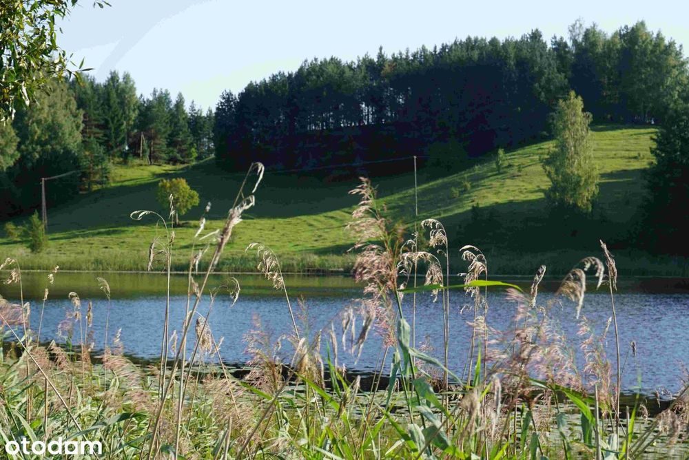 Siedlisko 7561 m², własny brzeg jeziora i las