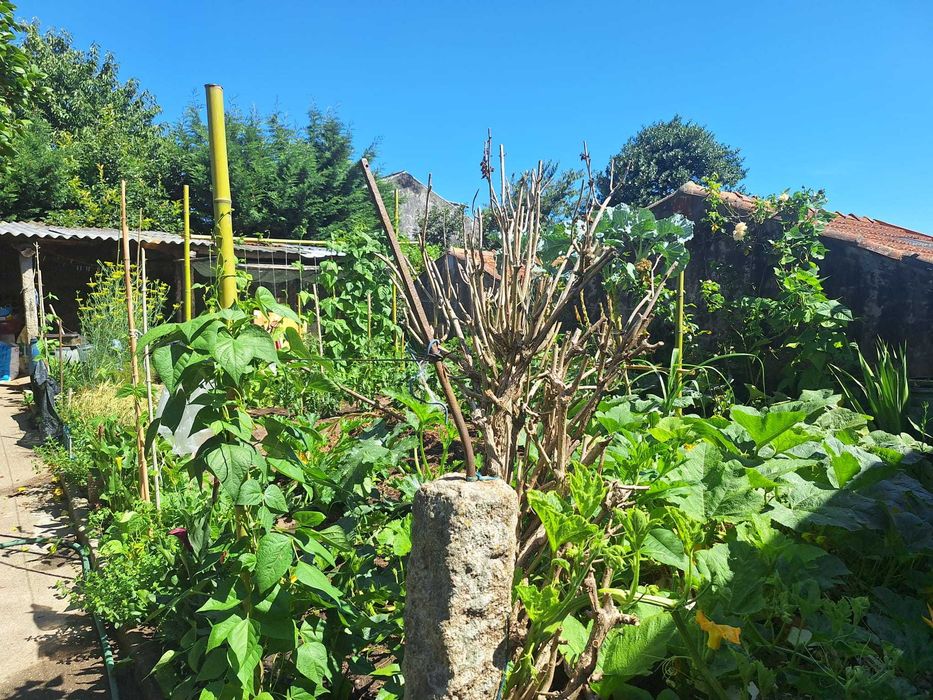 terreno com moradia para restaurar Maia centro