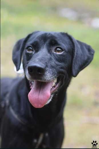 MACZO szuka bezpiecznego i aktywnego domu