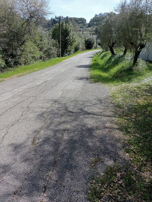 Vende-se terreno urbano e rústico casa ruína.
